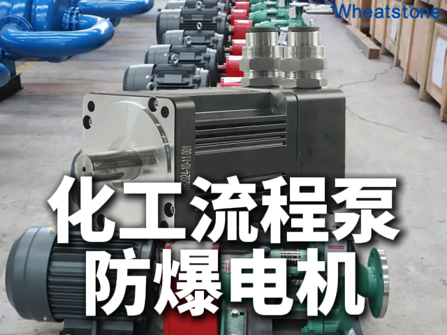 化工流程泵智能电机：惠斯通防爆伺服电机如