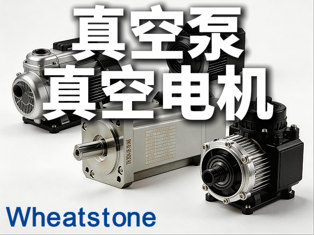 真空泵的“隐形搭档”：惠斯通真空电机持久