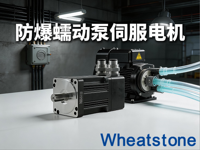 防爆蠕动泵电机：江苏惠斯通伺服电机驱动安全与精度的双重飞跃