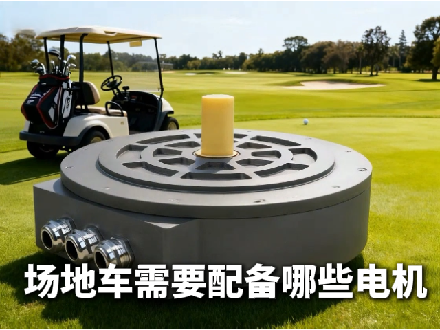 一辆小小的场地车需要多少种电机？