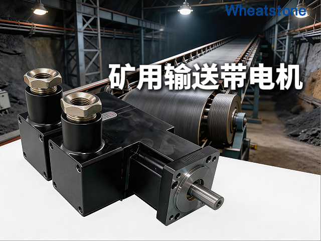矿用防爆伺服电机：惠斯通为皮带输送机提供
