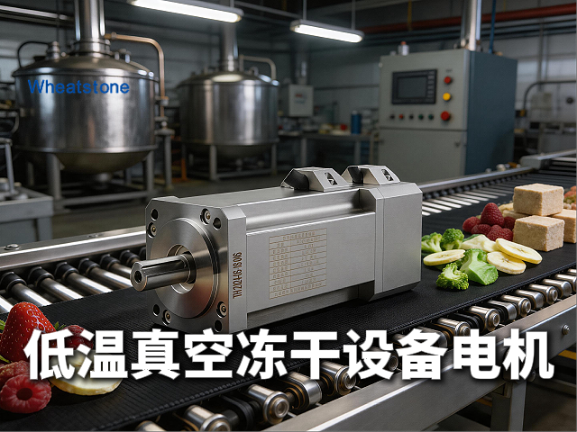 低温真空冻干设备专用电机：惠斯通如何以-