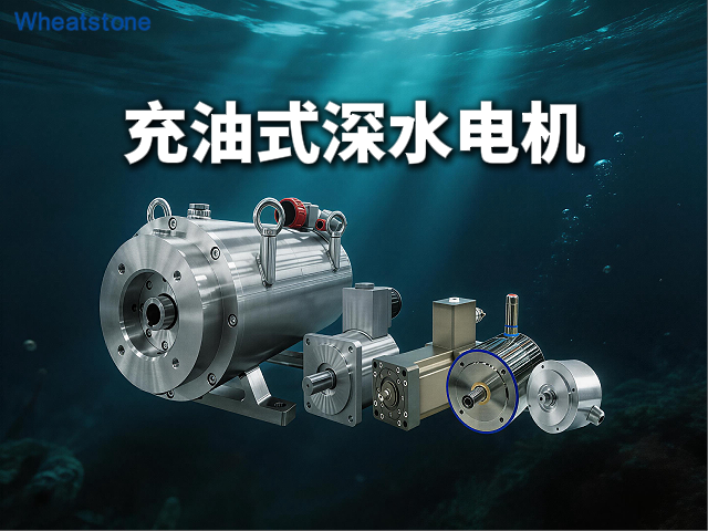 充油式深水电机：惠斯通如何以等压密封技术为深海装备注入可靠动力