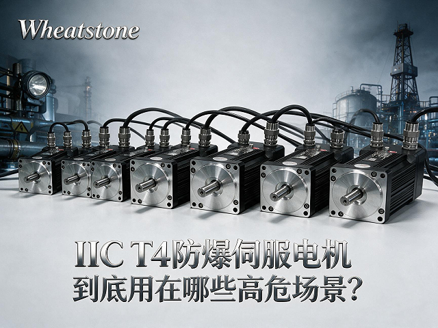 氢气环境下的防爆电机：IIC T4的技术